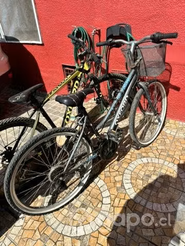 Bicicleta con canasto