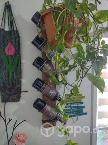Cava de vinos - Imagen 5