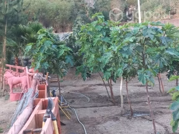 Terreno en Rio Hurtado