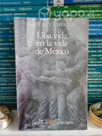 Una Vida en la vida de Mexico