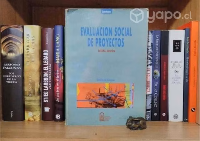 evaluación social de proyectos