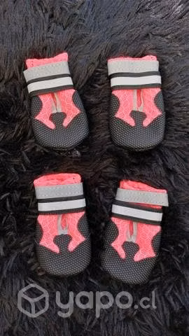 Zapatillas para perrito mediano sin uso