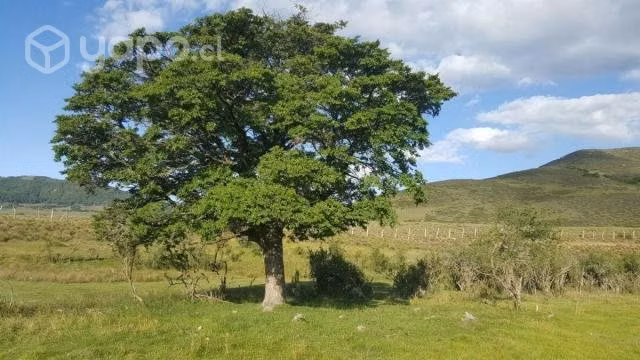 Parcela Lonquimay