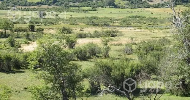 Parcela Lonquimay
