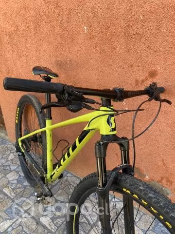 Scott scale 980