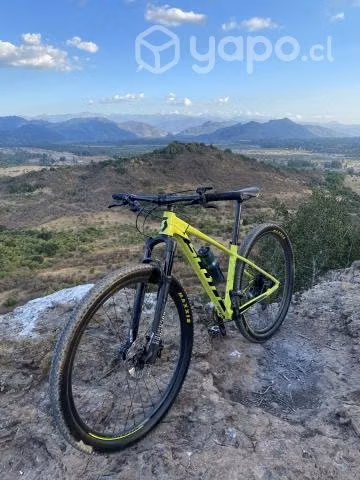 Scott scale 980
