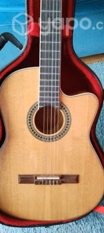 Guitarra con estuche
