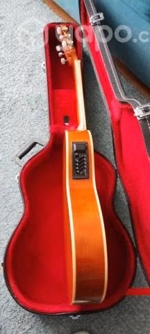 Guitarra con estuche