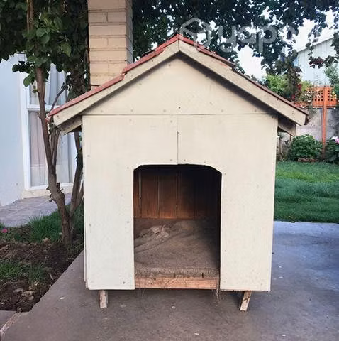 Casa perro raza grande