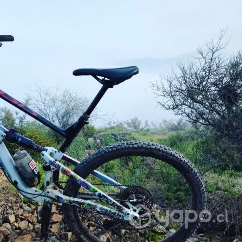 Polygon D7