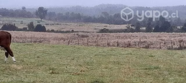 Venta de terreno comuna de Calbuco 1.5 ha con río