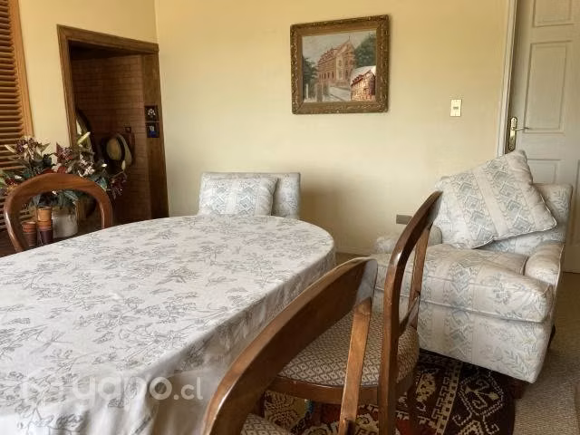 Oportunidad hermosa parcela con paltos - Imagen 12