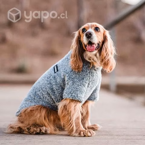 Corderito Petlounge. Talla 3