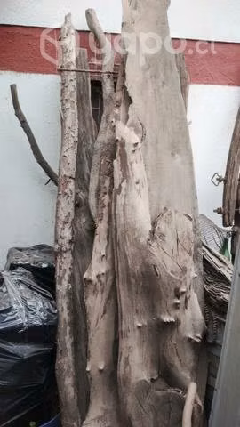 Madera nativa