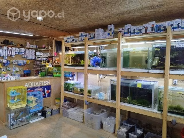 Tienda Aquafish PtoMontt