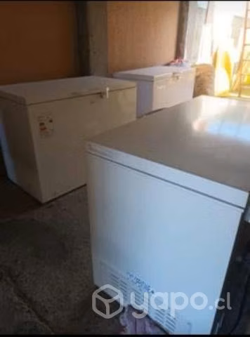 Congeladoras 300lts