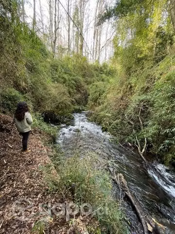 Parcela exclusiva en Pucón con vista al lago - Imagen 5