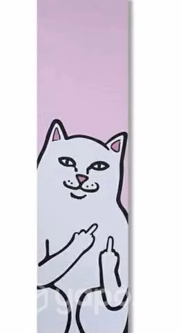 Skate rip n dip
