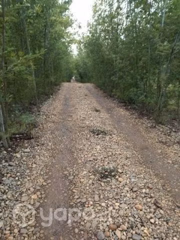 Terreno en parral