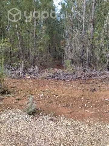 Terreno en parral