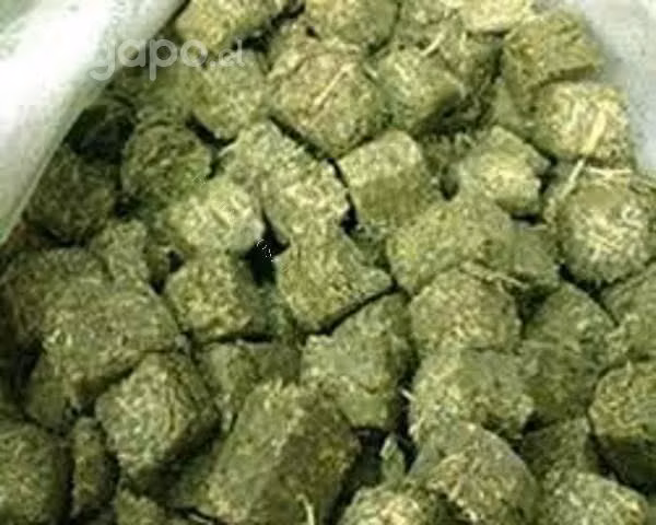 Cubos de alfalfa