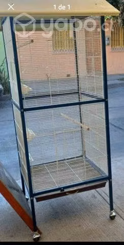 Jaula en cuarta y tercera región