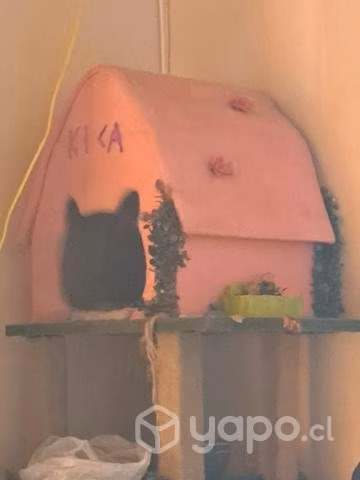 Casa en población rosita renard