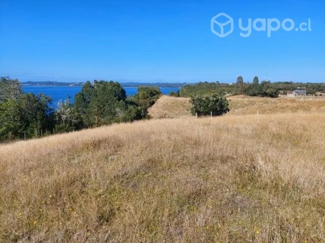 terreno - Imagen 3