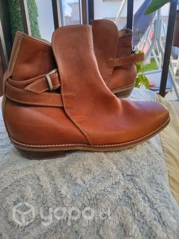 Bota canadiense - Imagen 4