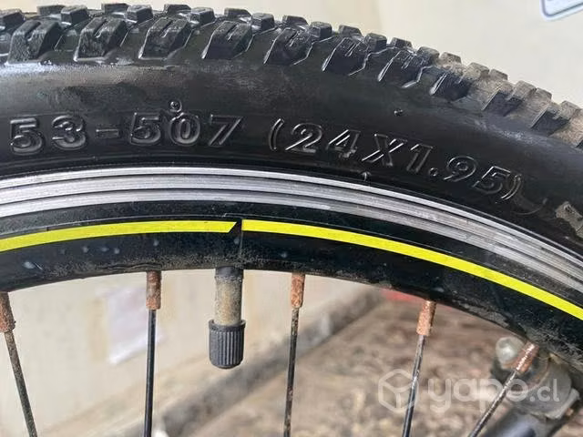 Bicicleta Totem