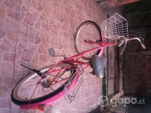 Bicicleta Lahsen