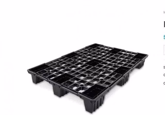 Pallet de Plástico