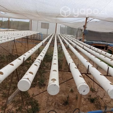 mesa y tubo hidroponia