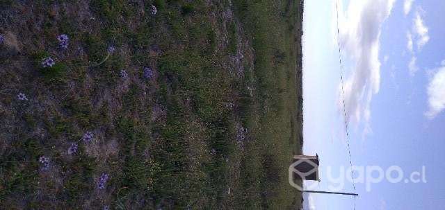 Vendo terreno en Guanaqueros - Imagen 2