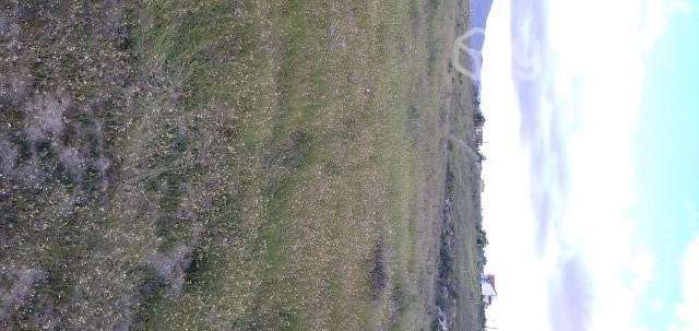 Vendo terreno en Guanaqueros - Imagen 3