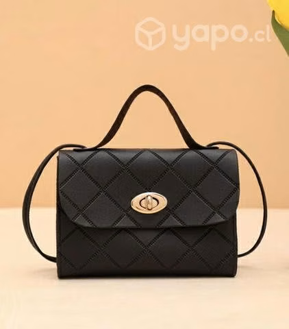 Cartera negra pequeña