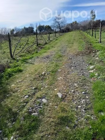 5.18 hectáreas