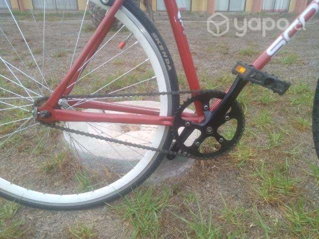 Bicicleta pistera - Imagen 2