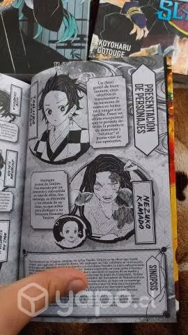 Demon Slayer manga