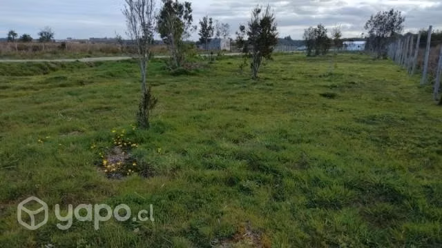 Sitios en Lagunitas. - Imagen 3