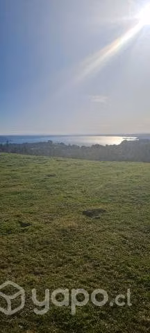 Terreno Santa Elvira Puyehue