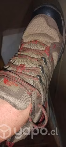 Zapatillas Trekking Northface Hedgehog