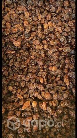 Frutos secos - Imagen 4