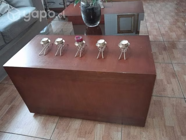 Mesa de centro de rauli - Imagen 4