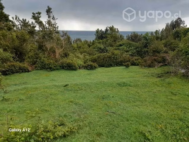 Excelente Terreno