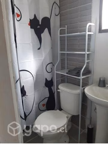 Se arrienda cabaña nueva 36 mt