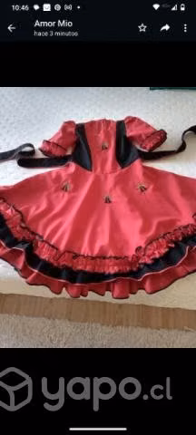 Vestido de cueca - Imagen 2