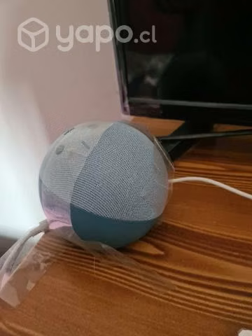 Alexa Echo dot 4