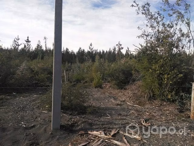 Terreno cercano a saltos del laja