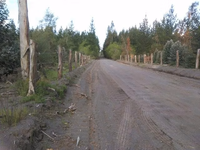 Terreno cercano a saltos del laja